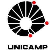 Universidade Estadual de Campinas (UNICAMP) Logo